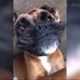 Ian Schuler - Facebook