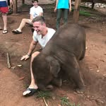 Ian Schuler - @von_schuler - Instagram