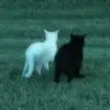 ^_^ - @iannsee - TikTok