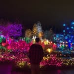 Ian Simpson - @ian.simpson612 - Instagram