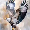🦅🦅🦅🦅 - @iansim356 - TikTok