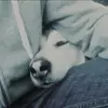 Ian Simmonds - @awful.me - TikTok