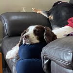 Ian Singleton - @ian.singleton1961 - Instagram