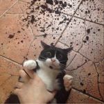 Ian Slaughter - @ian.slaughter.967 - Instagram