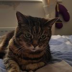 Ian Squires - @ian.squires.330 - Instagram