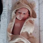 Ian Stanfield - Facebook