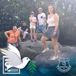 Ian Starkey - @ianstarkey1 - Instagram