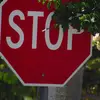 Ian_Steenberg - @ian_steenberg - TikTok