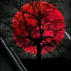 Ian Steffen - @ian.steffen0 - TikTok