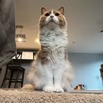Ian Steffen - @ianmsteffen - Instagram