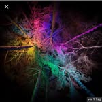 iansteinbacher - @si__2007 - Instagram