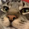 helixfelixthe4th - @_ianstover_ - TikTok