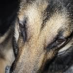 Ian Stover - @sxdated1 - Instagram