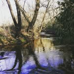 Ian Stover - @ian.stover.photography - Instagram