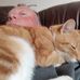 Ian Strachan - Facebook