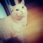 Ian Stratton - @ian.stratton.313 - Instagram