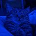 Ian Straub - Facebook