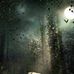 Ian Strauss - Facebook