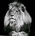 Strauss Osotsi Ian - Facebook