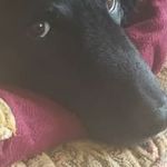 Ian Strong - @ian.strong.148 - Instagram