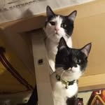 Ian Struthers - @struthersian - Instagram