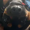 Ian - @ian.suazo - TikTok