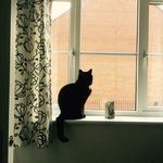 Ian Sumner - @grainton1 - Instagram