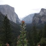 Ian Sutter - @venturethevoid - Instagram