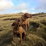 Ian Sutton - @iandcsutton - Instagram