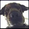 Ian Sutton - @iansutton3 - TikTok