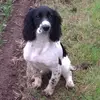 Ian Sutton - @ian.sutton - TikTok