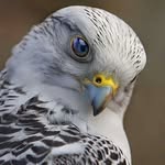 Ian Sutton - @ian.sutton.904750 - Instagram