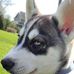 Ian Swartz - Facebook