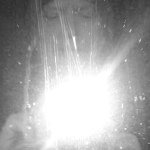 Ian McGillivray Syme - @ianmsyme1306 - Instagram