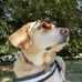 Ian Symes - Facebook