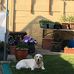 Ian Symes - Facebook