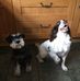 Ian Tanner - Facebook