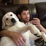 Ian Tapp - @ian_tapp - Instagram