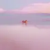 explorian - @explor1an - TikTok