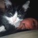 Ian Tharp - Facebook