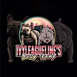 Ian Theil - @ivyleagueline - Instagram