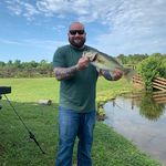 Ian Thomason - @thomason.ian - Instagram