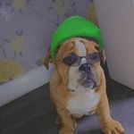 rachel - @iantierney03 - Instagram