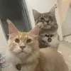 Ian & Titus - @ian_e_titus - TikTok