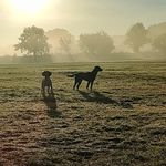 Ian Warburton - @iantroutmanstick - Instagram