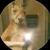 Ian Vargas - @ian.vargas48 - TikTok