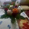 Ioan Volner - @ioan.volner - TikTok