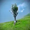ianwaiba - @ianwaiba - TikTok