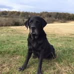 Ian Wain - Facebook