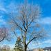 Ian Piper Dry Stone Walling &amp; Tree Surgery - Facebook